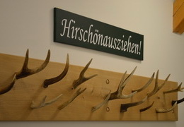 Hirschnausziehn_H180